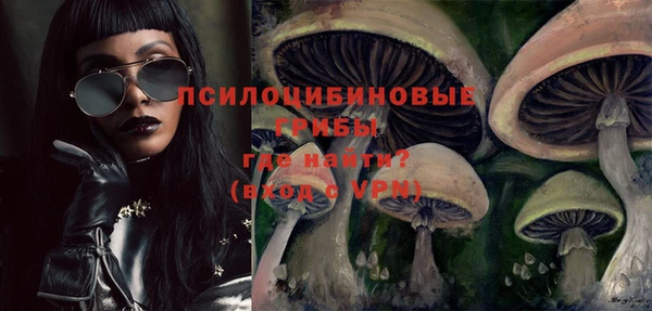 дживик Армянск