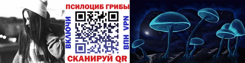 Купить где  Кондопога  Галлюциногенные грибы прущие грибы 