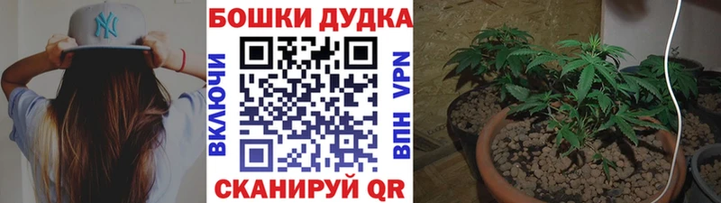 Конопля конопля  Купить  Кондопога 